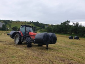 Folding double bale lifter 1   